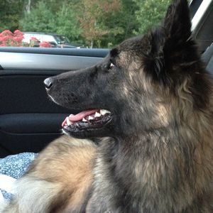 Meet your Posher, Farah